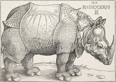 Rhinoceros Albrecht Durer